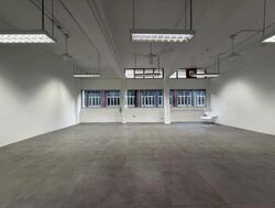 Tan Jin Chwee Industrial Building (D13), Factory #500956131